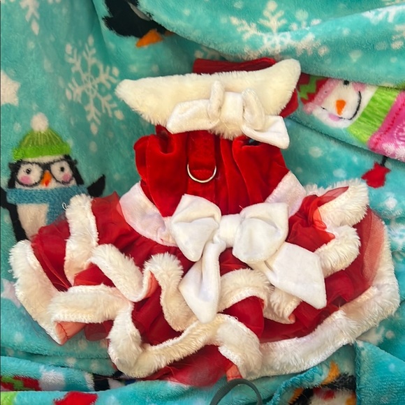 Festive Red and White Pet Dress - Picture 1 of 5
